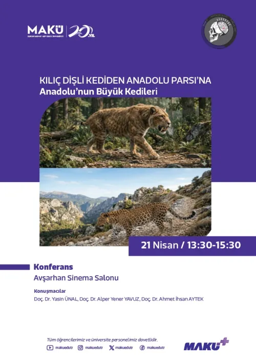 Anadolu'nun Büyük Kedileri