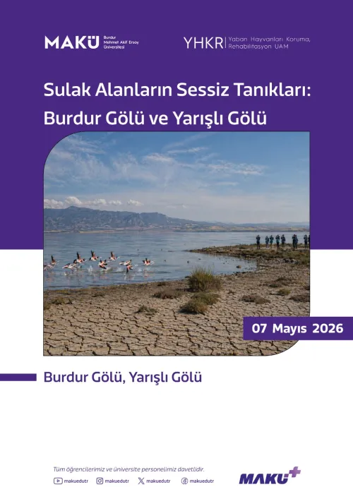 Sulak Alanların Sessiz Tanıkları: Burdur Gölü ve Yarışlı Gölü