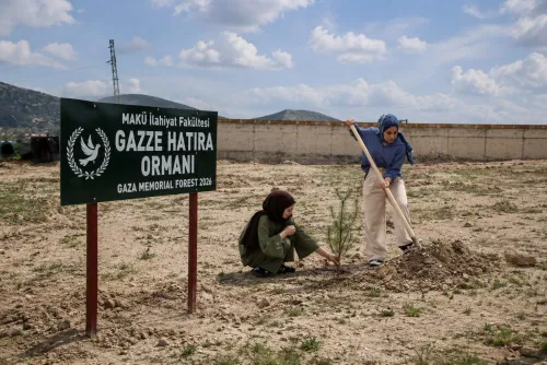 MAKÜ’de Gazze için fidanlar toprakla buluştu