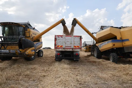 Harvest has been completed on 3 thousand decares of land at MAKÜ