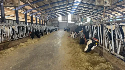 Erasmus+ support for MAKÜ's digitalization project in animal husbandry